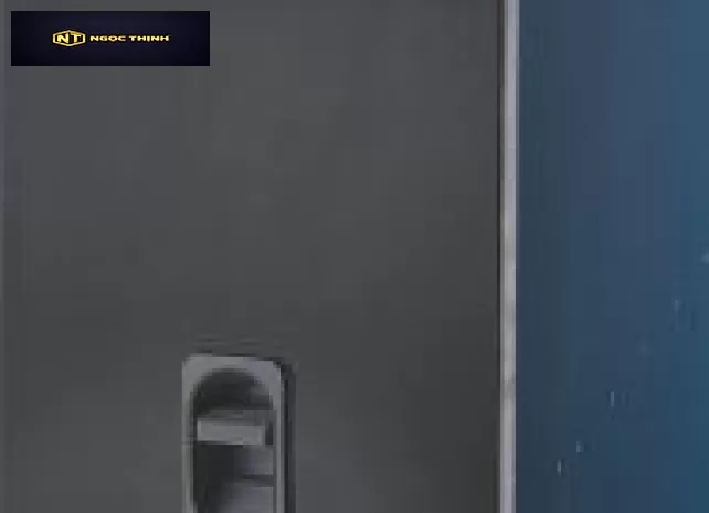 Thùng gạo mặt gương đen Roxana R016